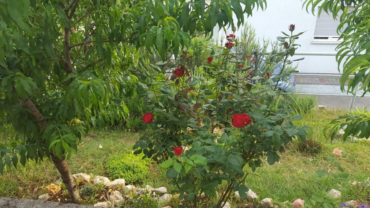 דירות קוסטרנה Ana מראה חיצוני תמונה